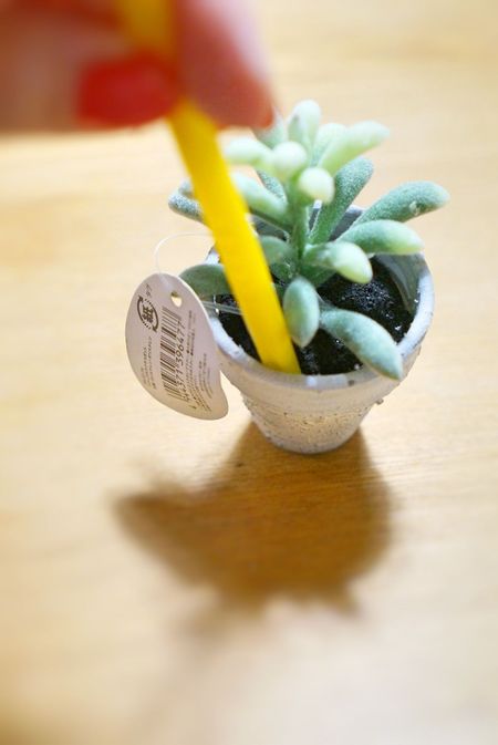 Seria編 目ウロコ必至 100均雑貨の使いこなしワザ