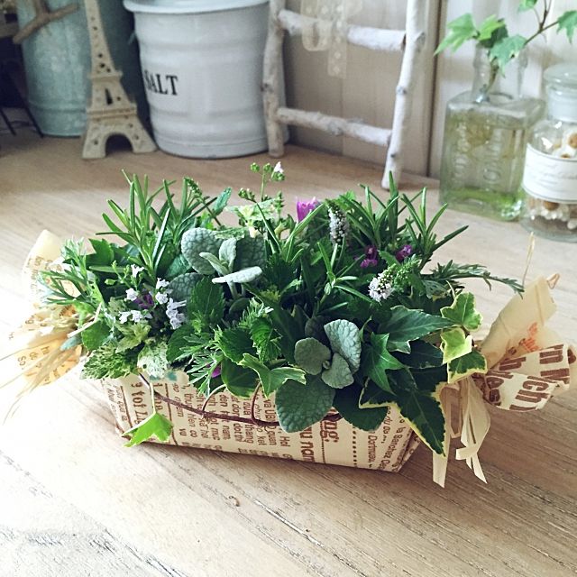 知っていますか ペーパーナプキンの収納 活用アイディア