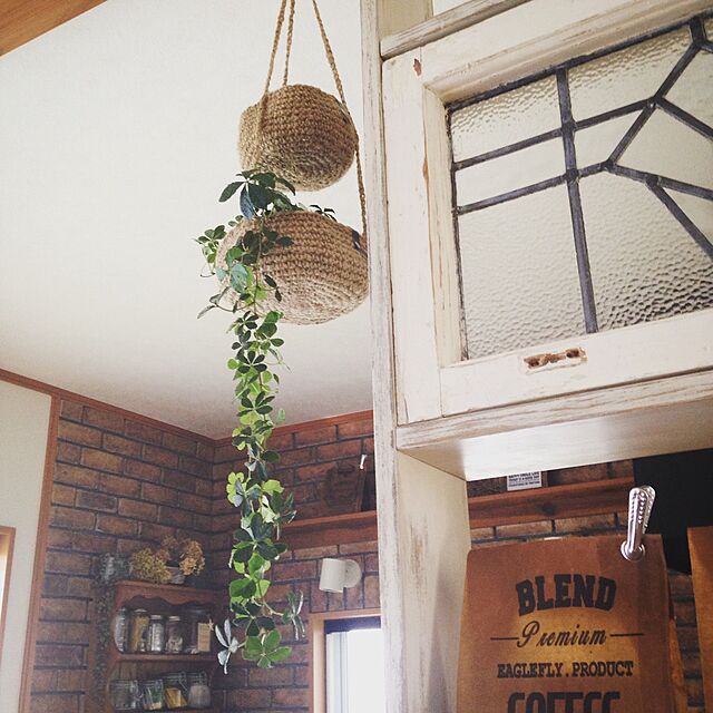 KAT&ROGER ハンギングプランター NEW ARRIVALS》 KAT & ROGER HANGING PLANTER 13,000 YEN アメリカを
