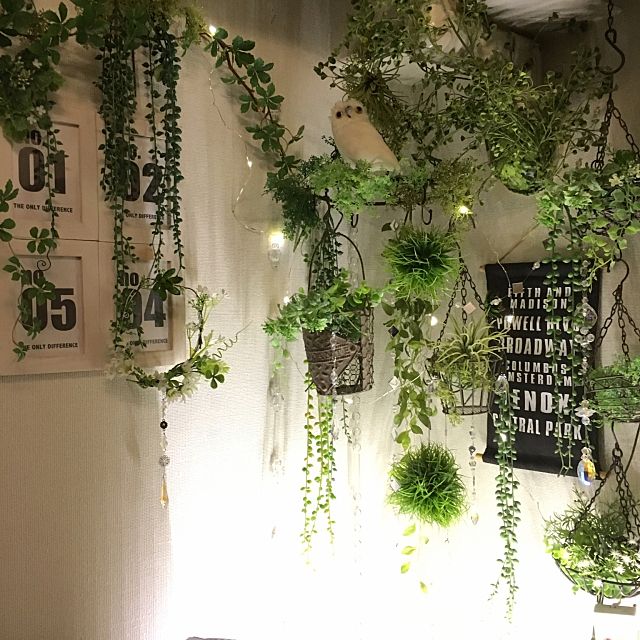 セリアのフェイクグリーンで 取り入れたいディスプレイ Roomclip Mag Line News