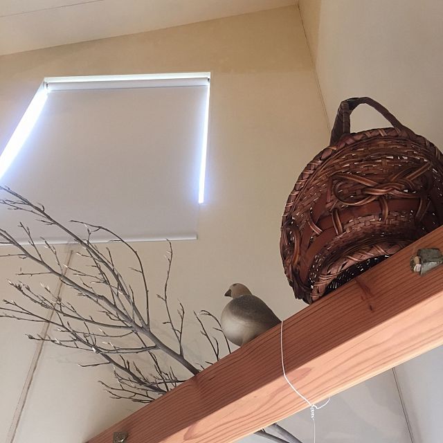 インテリアに趣きを 存在感を活かす枯れ枝ディスプレイ Roomclip Mag Line News