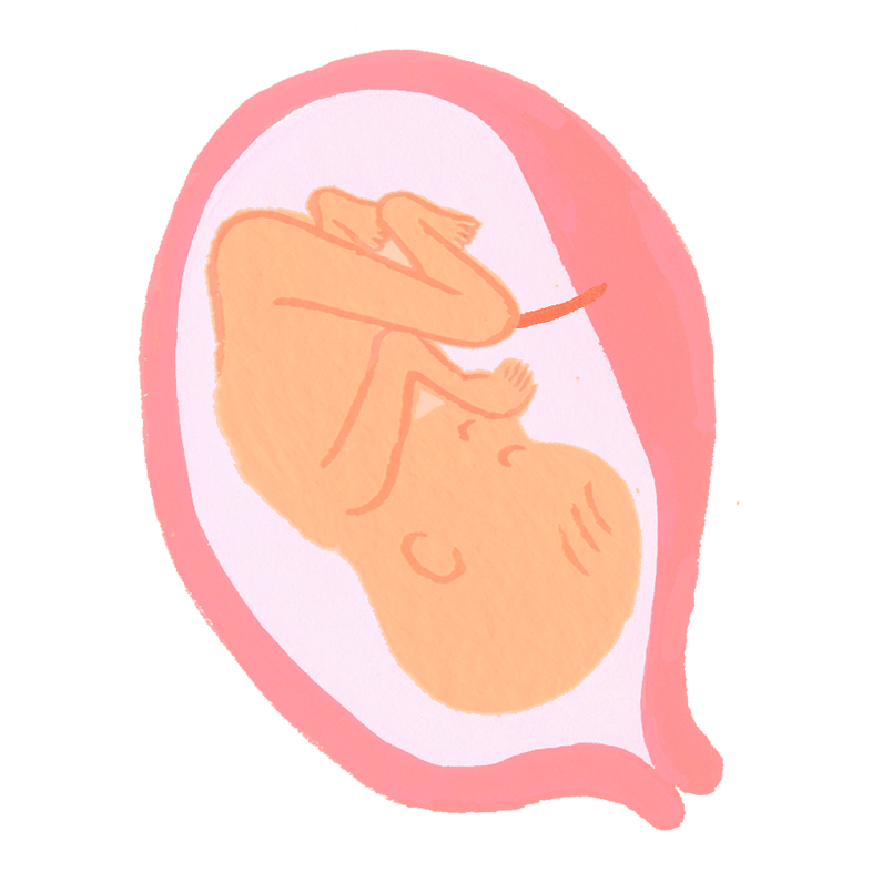 赤ちゃんがおもちゃを投げる どうすればやめさせられる