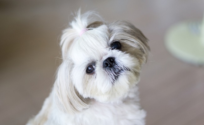 体験談 なぞの湿疹 肌の弱い息子のアレルギー原因は