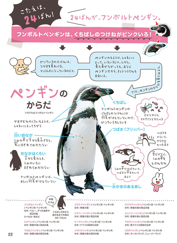 ペンギンは種類ごとに顔が違う フンボルトペンギンの特徴は どうぶつのかお ならべてみた ダ ヴィンチニュース Line News