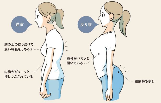 体重が減ってもお腹まわりだけ痩せないのはなぜ 原因は 内臓下垂 だった くびれ母ちゃんの出せるカラダ ダ ヴィンチニュース Line News