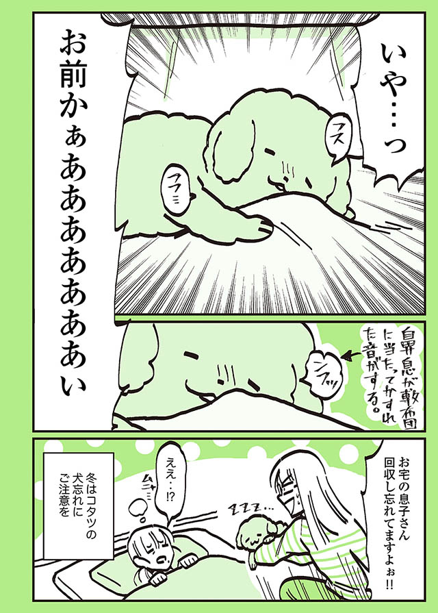 怪奇現象 そこか と意を決して ある場所をのぞいてみると うちのトイプーがアイドルすぎる ダ ヴィンチニュース Line News