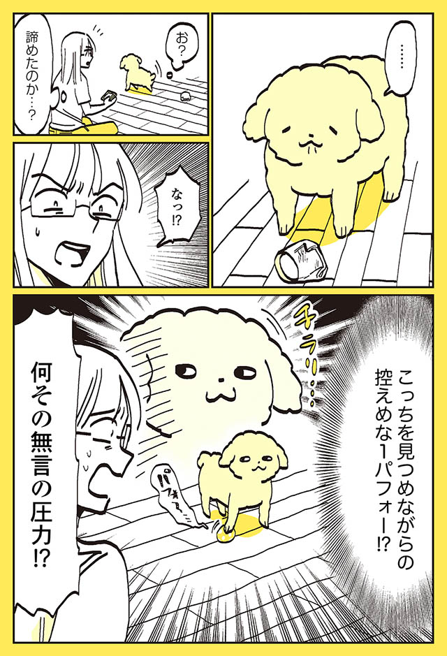 果たしておやつを食べられるのか 1回戦の勝者はクーさん 2回戦の勝敗は うちのトイプーがアイドルすぎる ダ ヴィンチニュース Line News