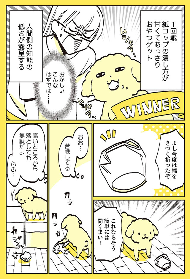 果たしておやつを食べられるのか 1回戦の勝者はクーさん 2回戦の勝敗は うちのトイプーがアイドルすぎる ダ ヴィンチニュース Line News