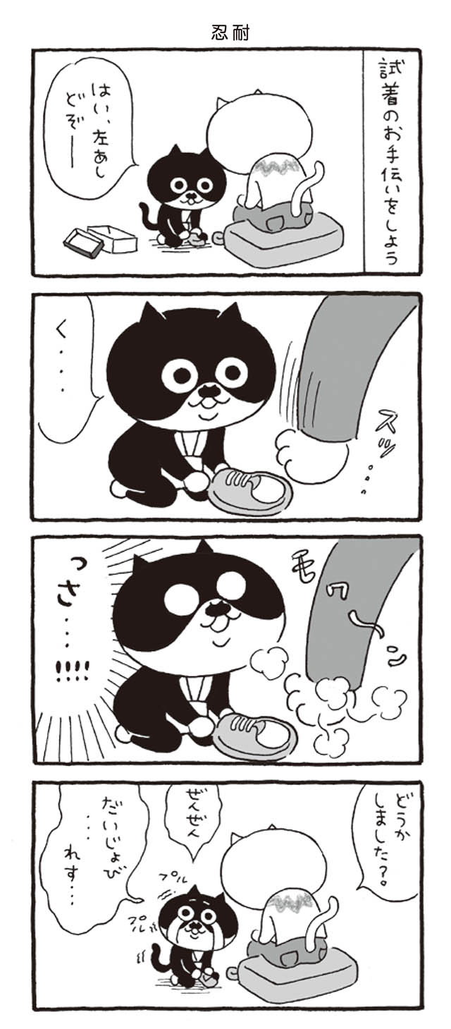 紳士靴屋さんで試着のお手伝いをするクロちゃん 涙が出ちゃったけど大丈夫 チビねこクロちゃんはおしごと体験で今日もてんやわんや ダ ヴィンチニュース Line News