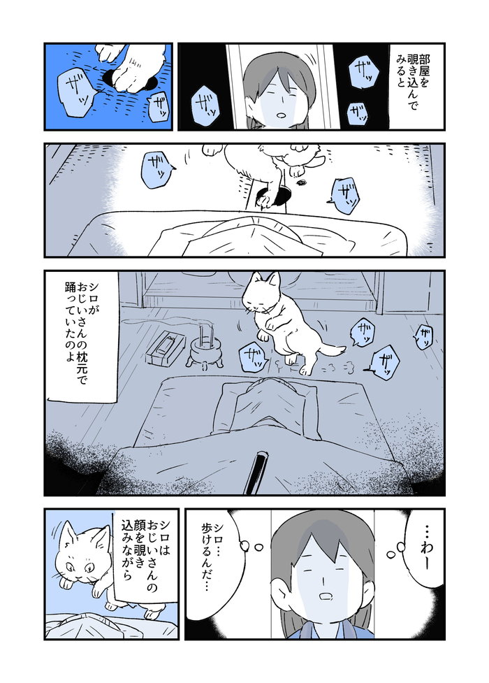 うちのおばあちゃんは動物が大好きなのに 猫だけは飼おうとしない 人から聞いた不思議な話を漫画にしてみた ダ ヴィンチニュース Line News うちのおばあちゃんは動物が大好きなのに 猫だけは飼おうとしない 人から聞いた不思議な話を漫画にしてみた ダ ヴィンチニュース Line News