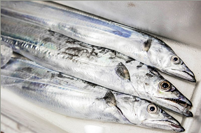 化粧品のラメやパールは 魚 が原料って本当 クイズで確かめる できる大人のたしなみ 第4問 ダ ヴィンチニュース Line News 化粧品のラメやパールは 魚 が原料って本当 クイズで確かめる できる大人のたしなみ 第4問 ダ ヴィンチニュース Line News