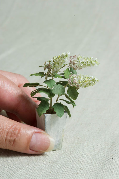これぞ神の手 樹脂粘土で作る実物そっくりのミニチュアフラワーにネット騒然 生命を感じるほどのリアルさ の秘密は ダ ヴィンチニュース Line News